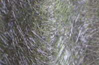 Shortacombe fibreglass roof work